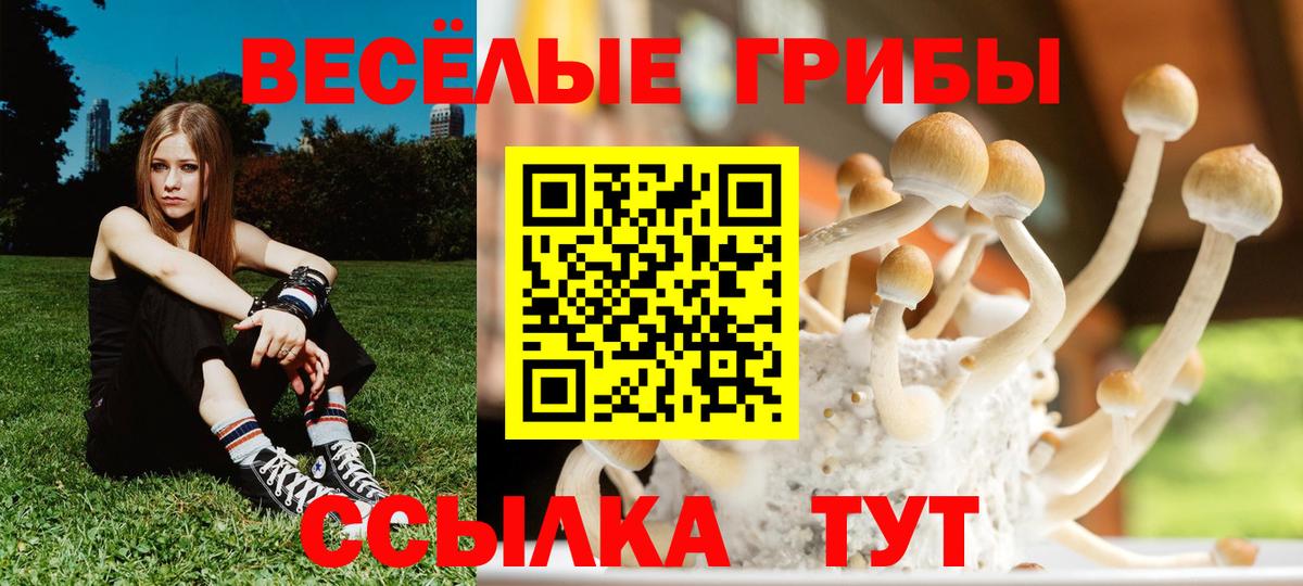 Галлюциногенные грибы Psilocybine cubensis  Вход с VPN  Кызыл 