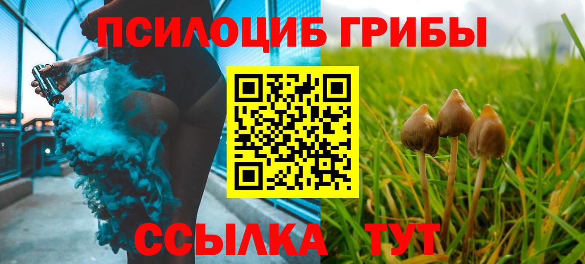 Псилоцибиновые грибы Cubensis Кызыл
